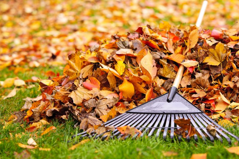 Seasonal Leaf Cleanup