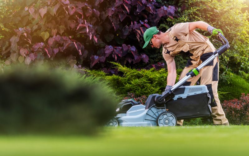 Lawn Mowing with a Commercial mower