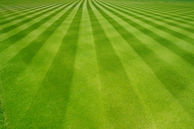 Lawn Growth Patterns