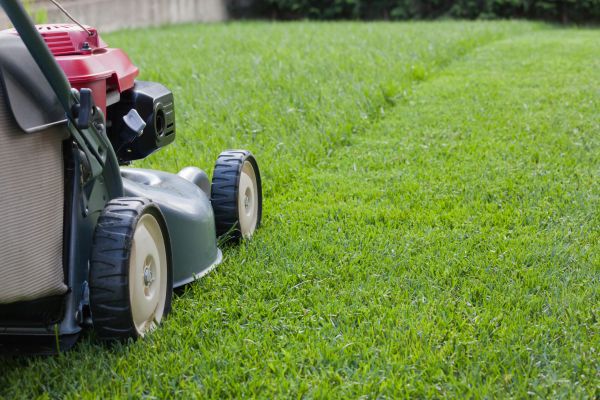 Lawn Care Service in Avon