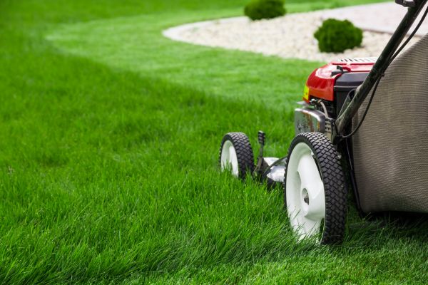 Mowing Service in Avon