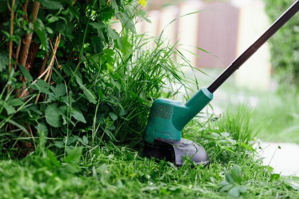 Weed Whacking in Avon