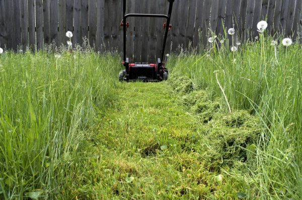 High Grass Mowing in Avon