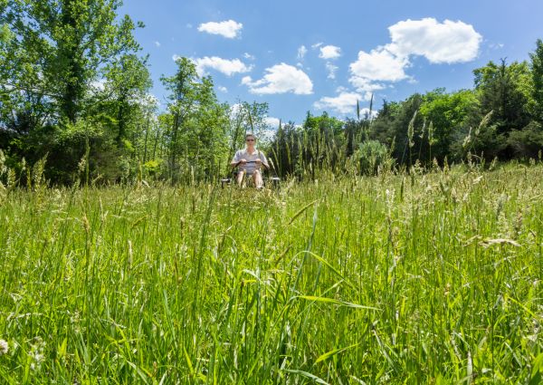 Long Grass Mowing in Avon