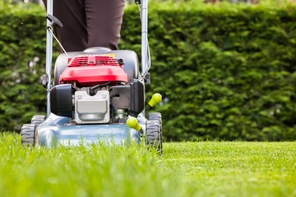 Grass Trimming Service in Avon