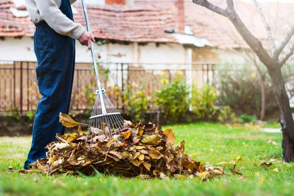 Routine Lawn Maintenance in Avon
