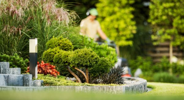 Residential Yard Maintenance in Avon