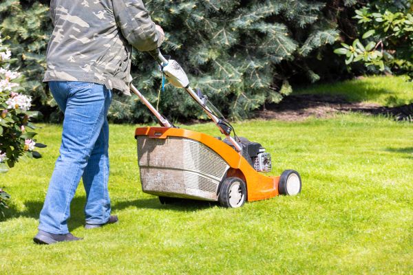 Springtime Lawn Care in Avon
