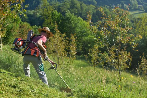 Slope Mowing in Avon